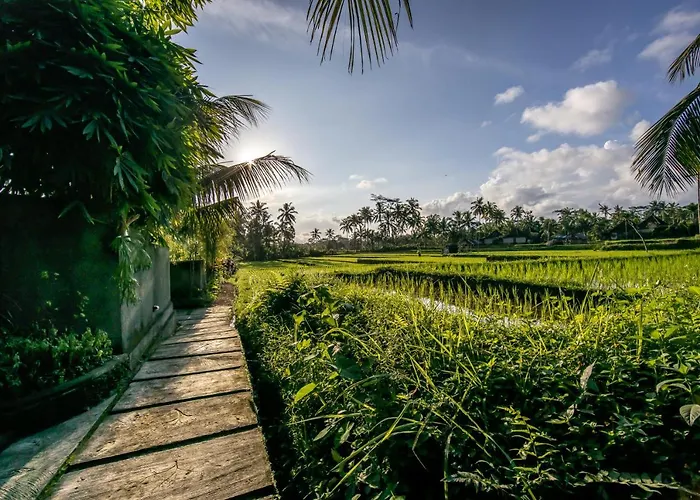 Natha * Ubud